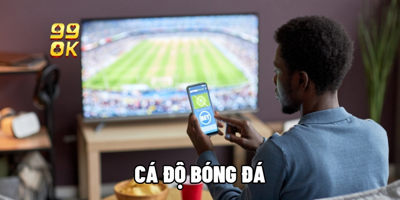 ca do bong da 1