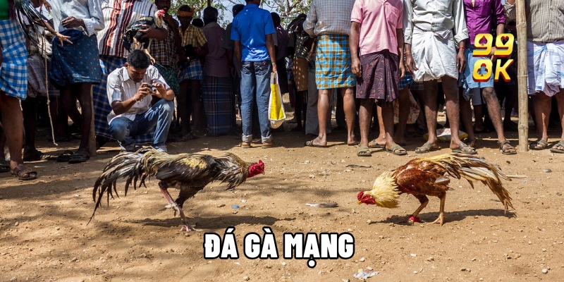 da ga mang 1