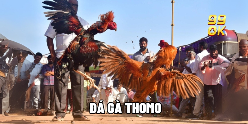 da ga thomo 1